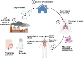 The Impact of Indoor Air Quality on Health and Comfort 1 image 2